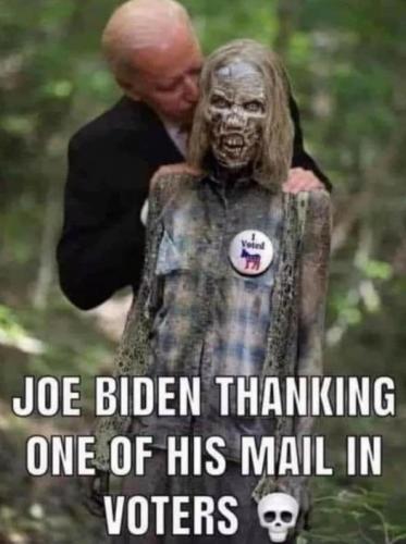 Biden & Voter