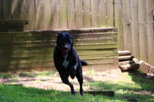 09:50:55 GMT-0600 (CST).image