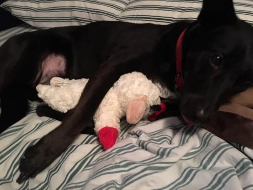 10:14:47 GMT-0600 (CST).image