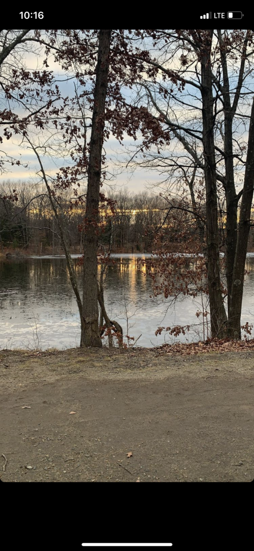 10:40:01 GMT-0500 (EST).image