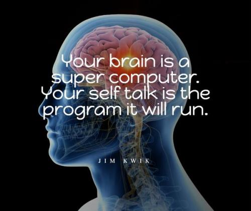 Your_Brain