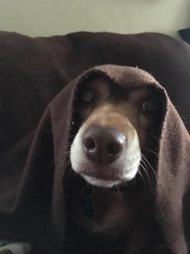 18:40:27 GMT-0600 (CST).image