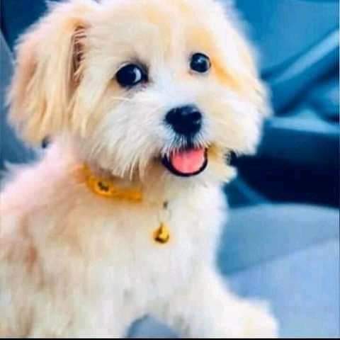 09:44:48 GMT+0100 (WAT)