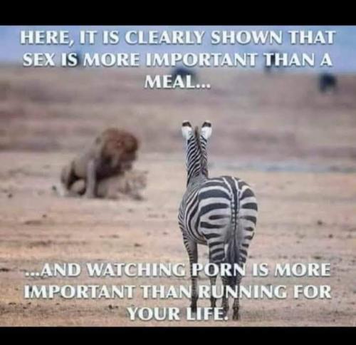 16:42:38 GMT-0500 (EST).image