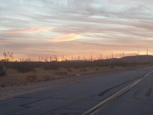 134929782_665811374115670_2355131678823706266_o