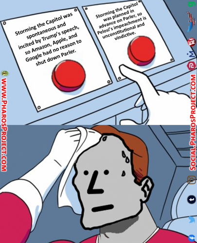 Daily Struggle - NPC Wojak -Capitol Protest - Web-FB-TW-IG-TM