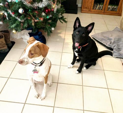 23:40:13 GMT-0500 (EST)