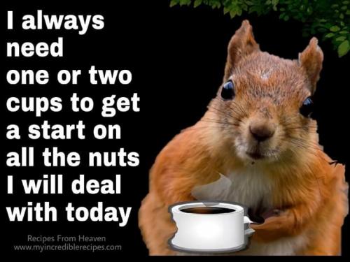 19:57:56 GMT-0500 (EST)