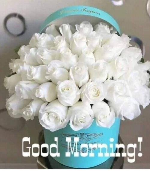 11:33:13 GMT-0800 (PST)