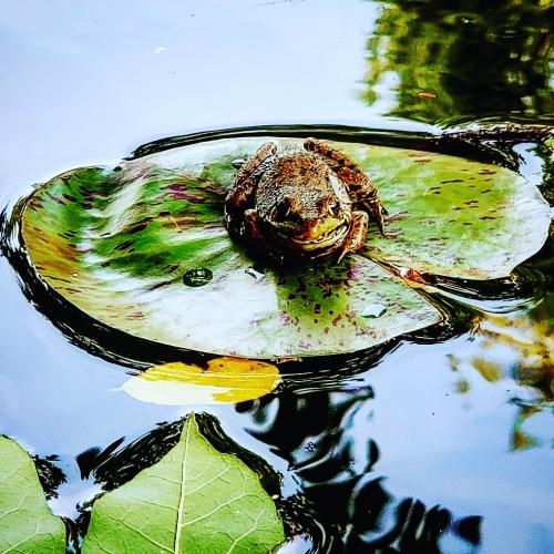 11:44:27 GMT-0500 (EST)