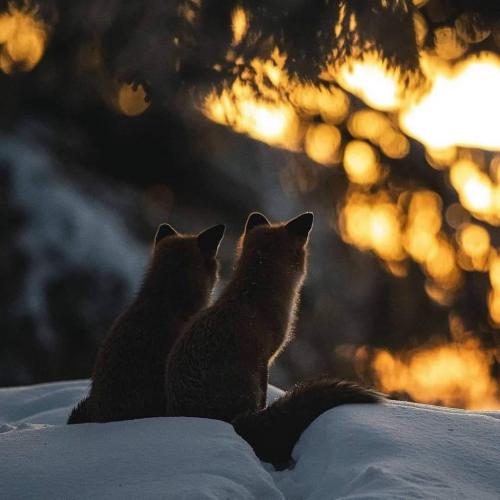 21:29:45 GMT-0600 (CST)