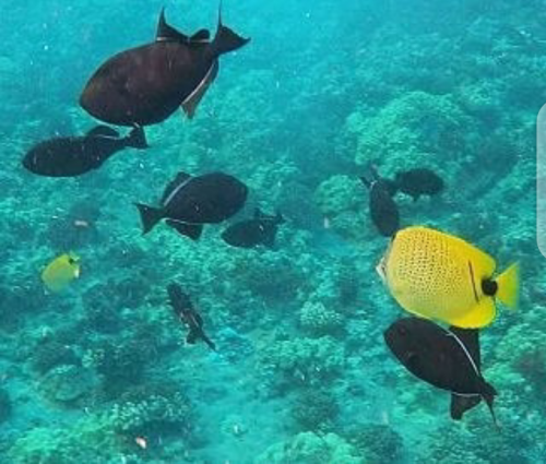 13:59:34 GMT+0100 (WAT)