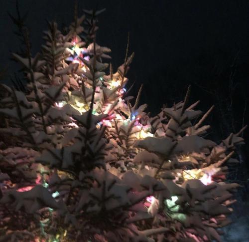 15:46:03 GMT-0600 (CST).image