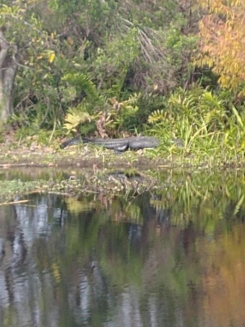 23:12:59 GMT-0500 (EST)