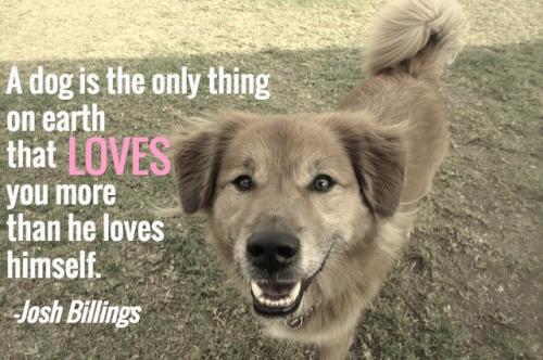 dog-quotes-love