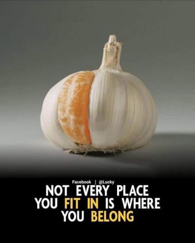 18:35:57 GMT-0600 (CST)