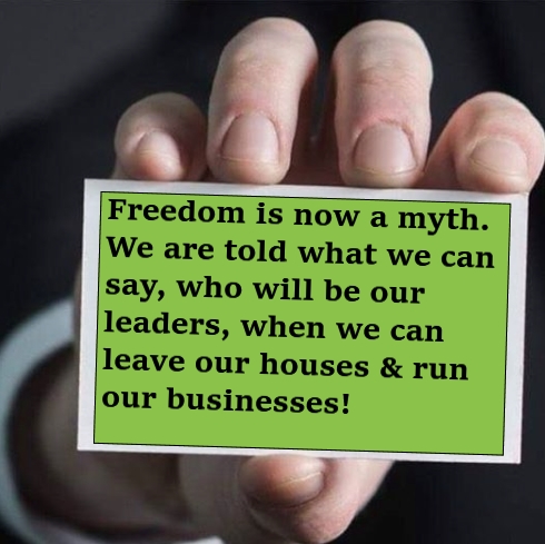 58604265_10157397363834916_7524613459405701120_n_InPixio_InPixio