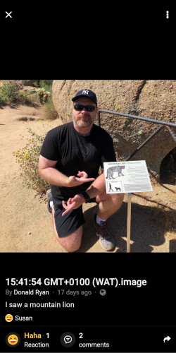 14:44:29 GMT-0600 (CST)