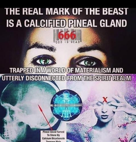 02:58:33 GMT-0500 (EST)