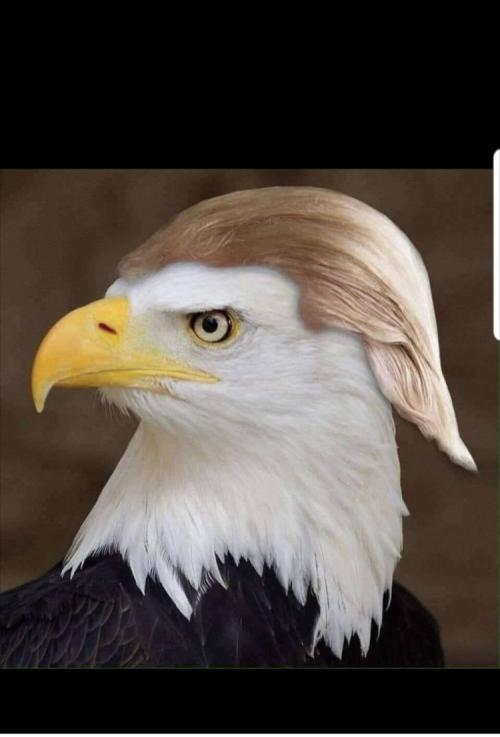 17:51:55 GMT-0500 (EST).image