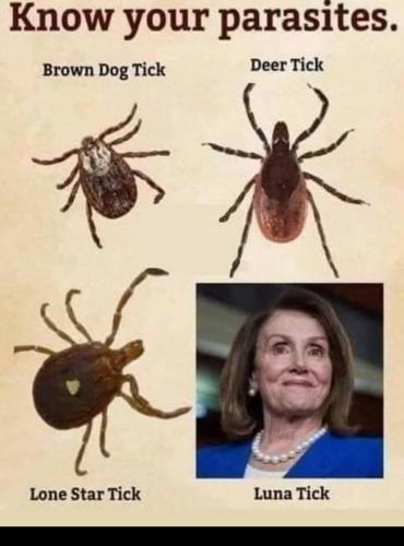 23:17:21 GMT-0500 (EST)