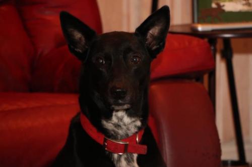 10:06:06 GMT-0600 (CST).image