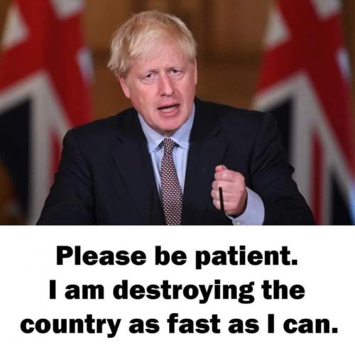 BOJO8