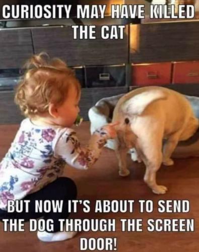 23:52:02 GMT-0500 (EST)