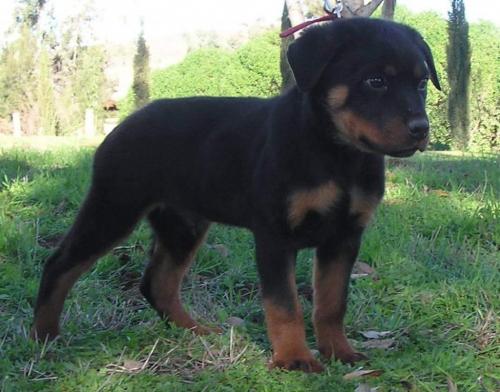 FB_IMG_1599112651661