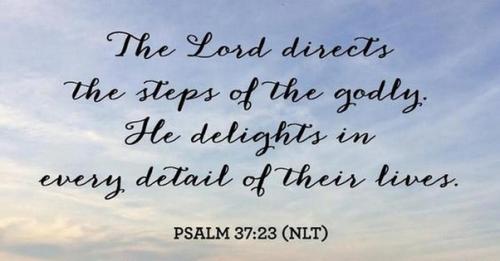 main-qimg-f8f54b46856a2cd6ec45fa2a7c8b86ec