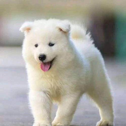 23:29:18 GMT+0100 (WAT)