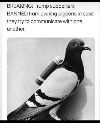 u9WLY24V2Dapdkfd7Rjx_10_582658fdd59a7123b3e3b91d819d87ce_image