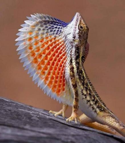 140558212_108872331174138_1228783872103220863_n