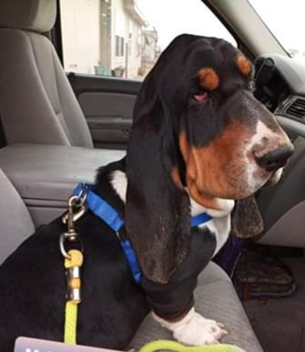 08:09:02 GMT-0700 (MST)