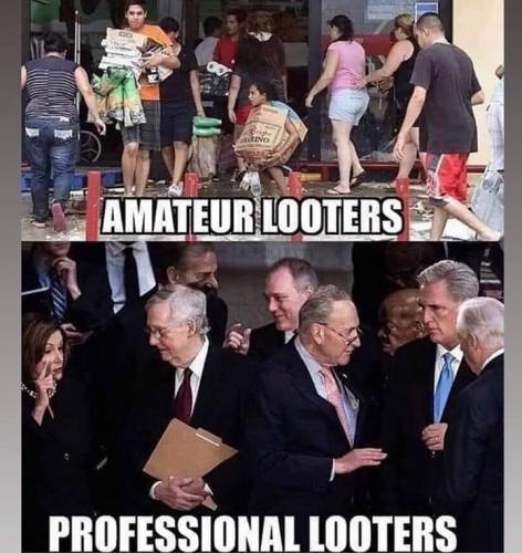 Amateur looters vs. professional looters b - meme