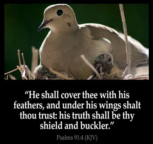 22:24:58 GMT-0600 (CST)