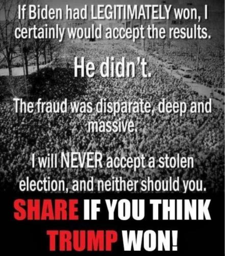 xephula_a06dcd3c601f43c8f44e54cb6c166b95