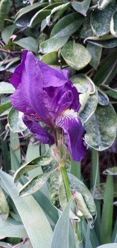 10:07:12 GMT-0800 (PST)