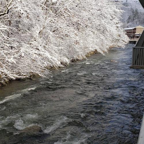 11:19:09 GMT-0500 (EST)