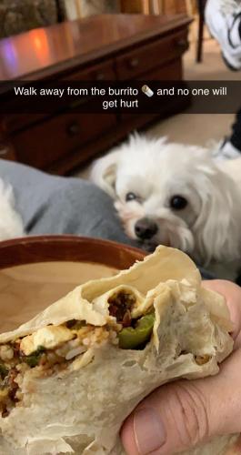 22:36:44 GMT-0600 (CST).image