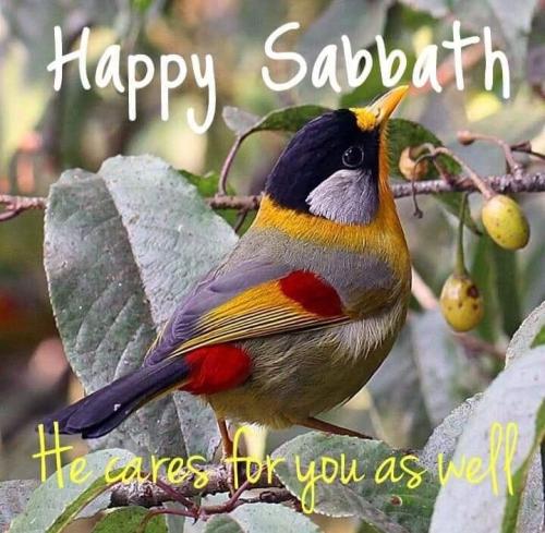 HAPPY SABBATH