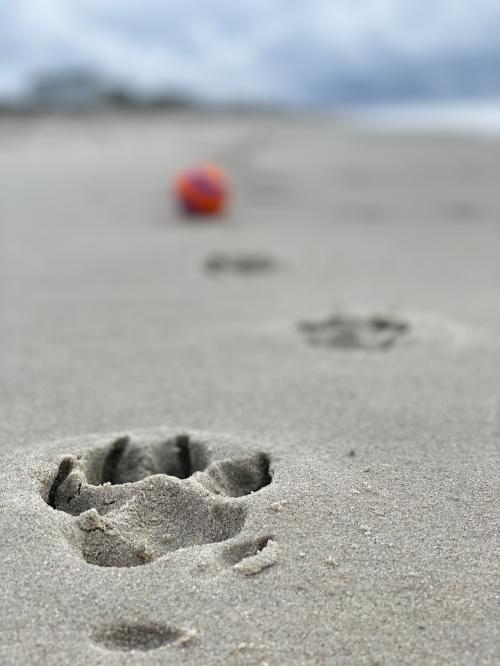 18:28:50 GMT-0500 (EST).image