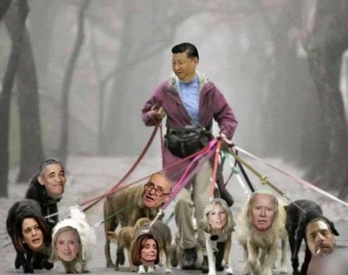 137570819_417656206144523_9203280358667397346_n