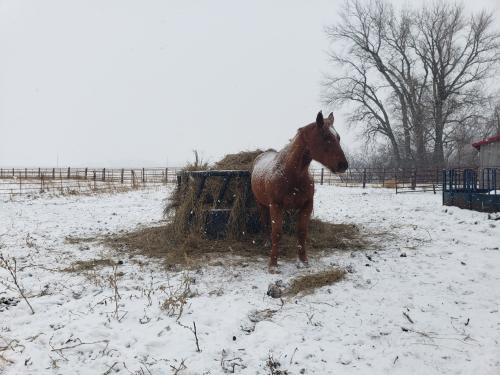 02:07:20 GMT-0600 (CST)