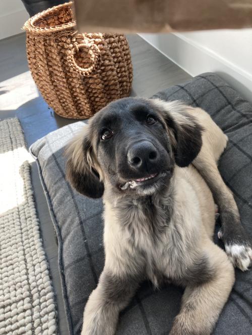 22:40:25 GMT+0100 (WAT)