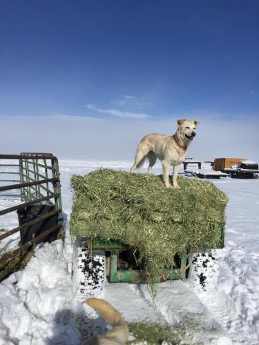 14:00:23 GMT-0800 (PST).image