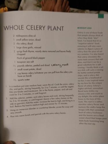 21:08:34 GMT-0700 (MST)