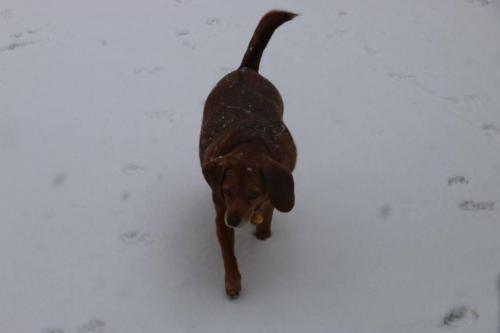 19:21:34 GMT-0600 (CST).image