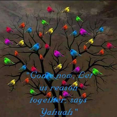 16:50:44 GMT-0900 (AKST)