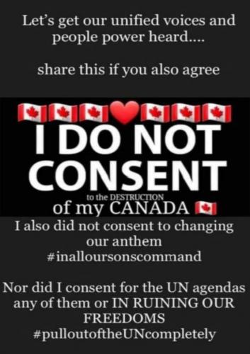 CONSENT